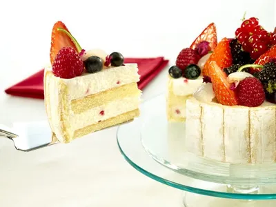 Tegral Biscuit Vanilla